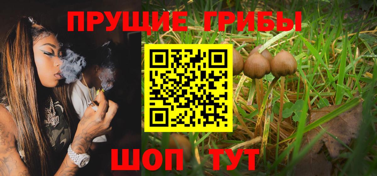 Галлюциногенные грибы Magic Shrooms Лениногорск